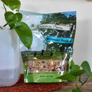 Blueberry Granola