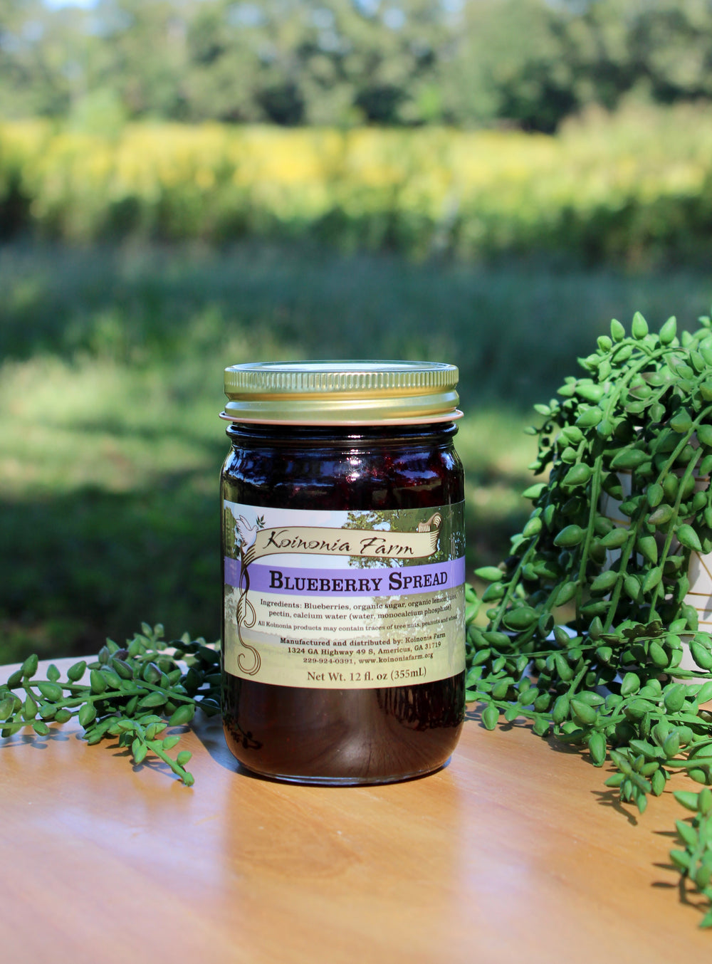 Blueberry Fruit Spread