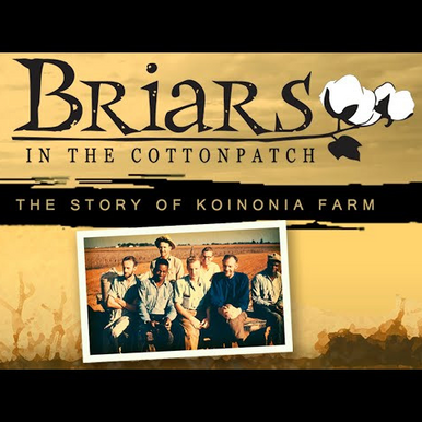 Briars in The Cotton Patch DVD